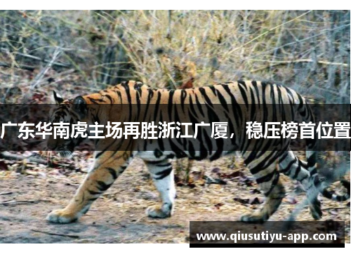 广东华南虎主场再胜浙江广厦，稳压榜首位置
